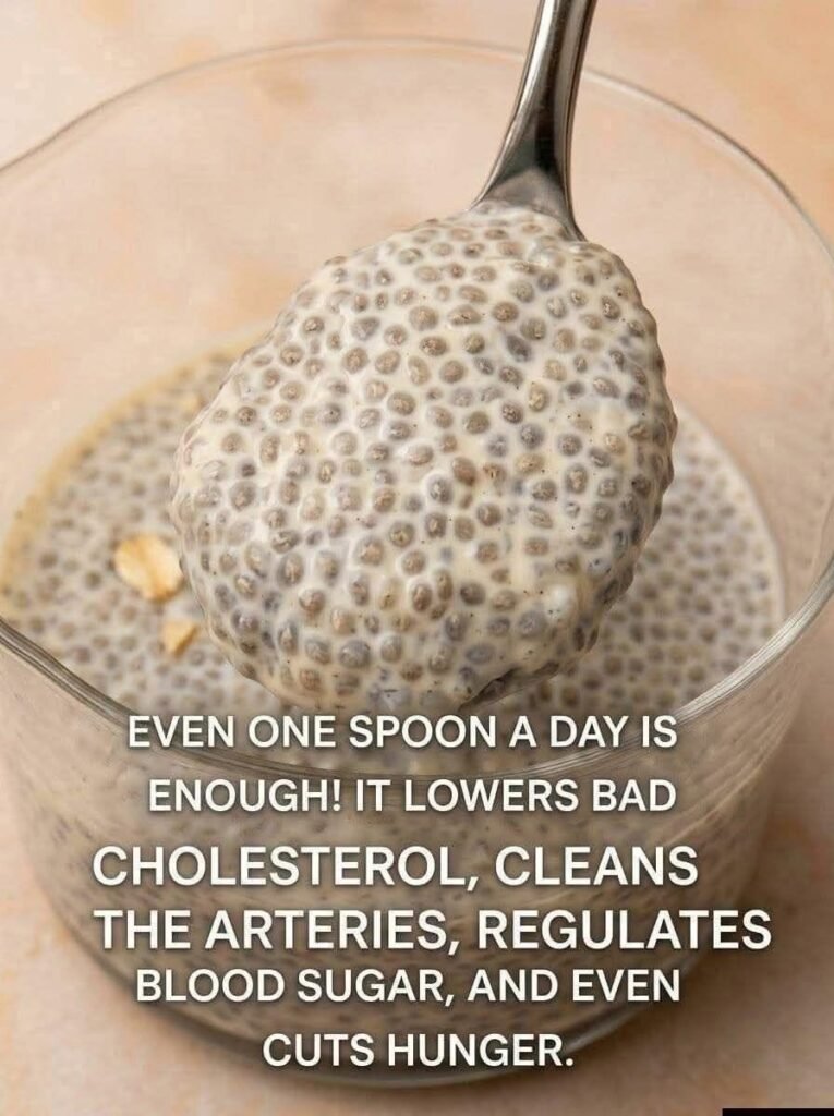 HEALTY Homemade Chia Seed Pudding