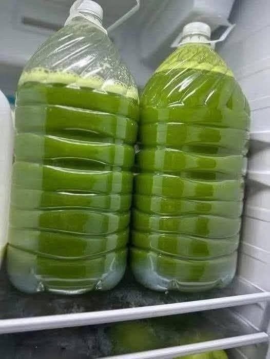 Homemade Healthy Green Juice